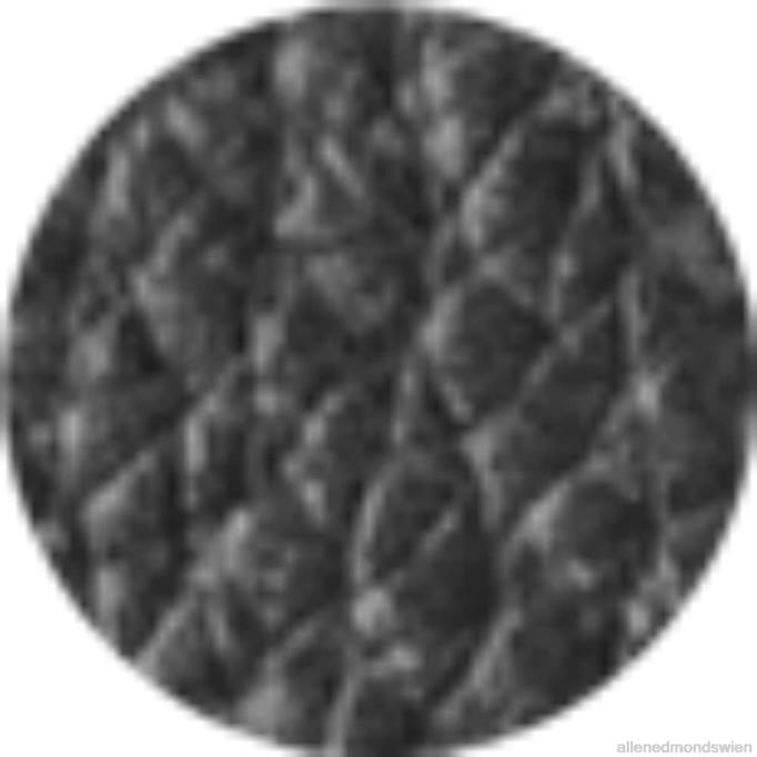 Allen Edmonds Österreich D66B578 | Allen Edmonds schlanke Aktentasche aus Leder schwarzes Leder unisex